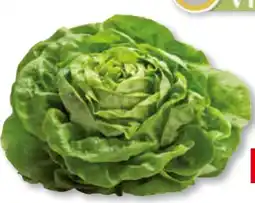 Unimarkt Häuptelsalat Angebot