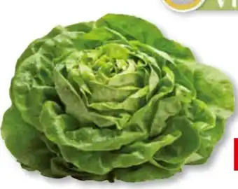 Unimarkt Häuptelsalat Angebot