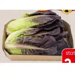 Spar Bio-Salatherzen rot aus dem Burgenland SPAR Angebot