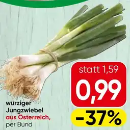 Spar würziger Jungzwiebel Angebot