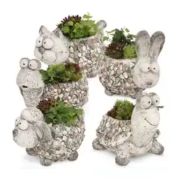 Hofer Bepflanzte Tierfigur versch. Sorten HOFER Angebot