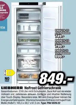 Red Zac NoFrost Gefrierschrank FNd 5026-22 RED ZAC Angebot