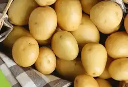 Hofer Hofer Marktplatz Frühkartoffeln Angebot
