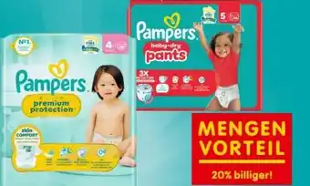 Interspar Pampers Premium Protection Windeln Angebot