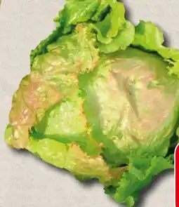 Spar Krauthäuptelsalat Angebot