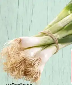 Spar Jungzwiebel Angebot