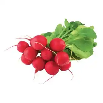 Spar knackige Tiroler Radieschen SPAR Angebot