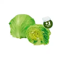 PENNY Eissalat Penny Angebot