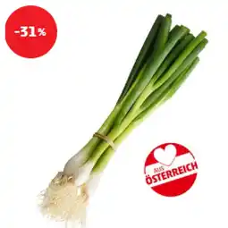 PENNY Jungzwiebeln Penny Angebot