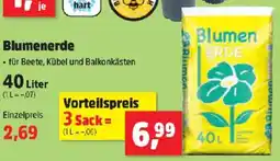 Thomas Philipps Blumenerde Angebot