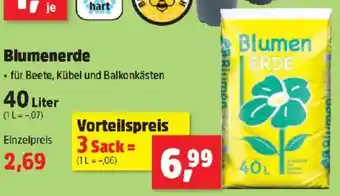 Thomas Philipps Blumenerde Angebot