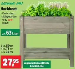 Thomas Philipps Hochbeet Angebot