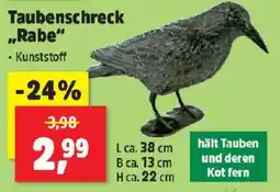 Thomas Philipps Taubenschreck Rabe Angebot