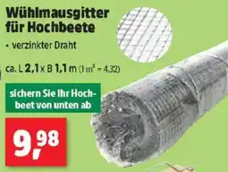 Thomas Philipps Wühlmausgitter für Hochbeete Angebot