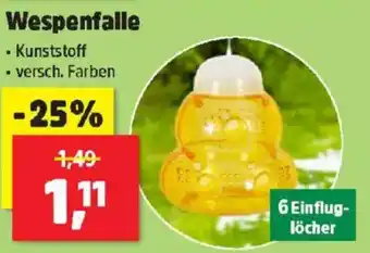 Thomas Philipps Wespenfalle Angebot