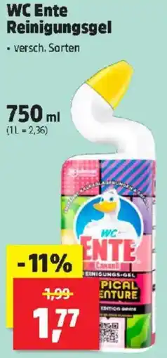 Thomas Philipps WC Ente Reinigungsgel Angebot