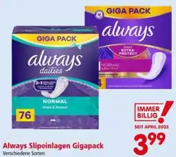 Interspar Always Slipeinlagen Gigapack Angebot