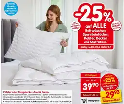 Interspar Polster oder Steppdecke Cool & Fresh Angebot