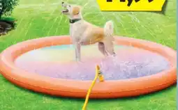 Hofer Romeo Sprinkelmatte für Hunde Angebot