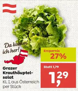 ADEG Grazer Krauthäuptelsalat Angebot