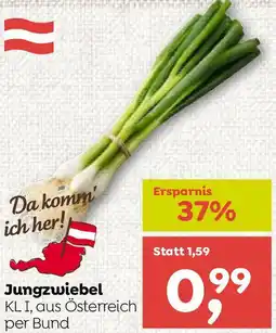 ADEG Jungzwiebel Angebot
