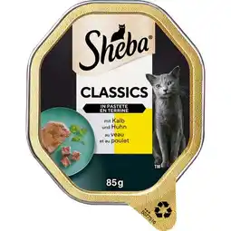 dm Katzennassfutter div. Sorten dm Angebot
