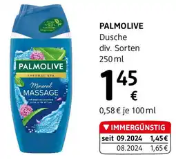 dm Duschgel Mineral Massage Angebot