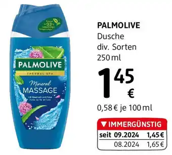 dm Duschgel Mineral Massage Angebot