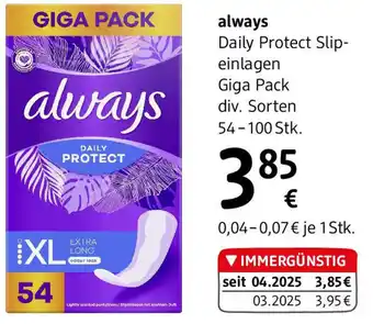 dm always Daily Protect Slipeinlagen Giga Pack Angebot