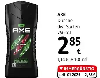 dm Axe Duschgel Africa Angebot