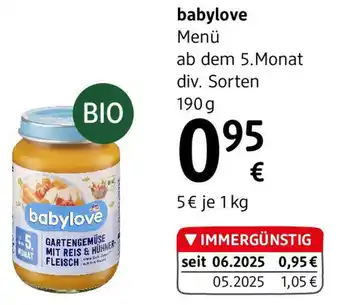 dm babylove Menü ab dem 5.Monat Angebot