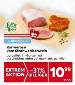 Billa Karreerose vom Strohwohlschwein Angebot