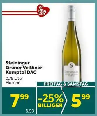 Billa Steininger Grüner Veltliner Kamptal DAC Angebot
