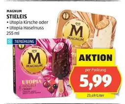 Hofer MAGNUM STIELEIS Angebot