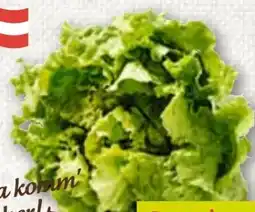 ADEG Da komm' ich her Grazer Krauthäuptelsalat Angebot