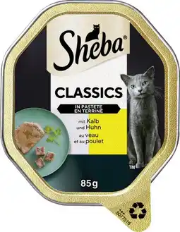 dm Sheba Katzennassnahrung Angebot