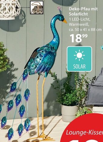 NKD Deko Pfau Mit Solarlicht 50x41x88 Angebot