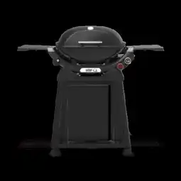 0815 Weber Gasgriller Q2800N Angebot