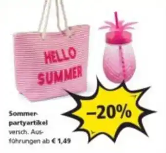 Pagro Diskont Sommer partyartikel Angebot