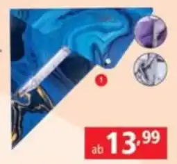 Pagro Diskont Geocover 3-in-1-Set Angebot