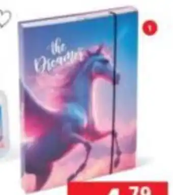 Pagro Diskont Heftbox DIN A4 Angebot