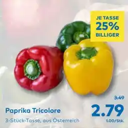 T&G Paprika Tricolore Angebot