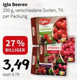 Der Grissemann Iglo Beeren Angebot