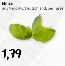 Der Grissemann Minze Angebot