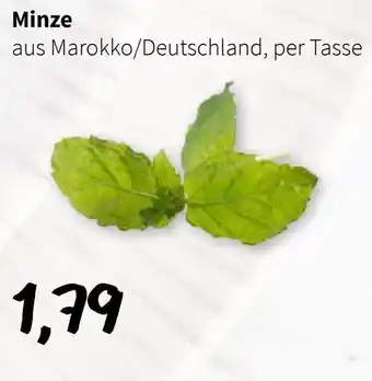 Der Grissemann Minze Angebot