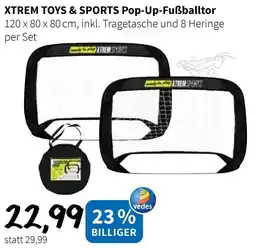 Der Grissemann XTREM TOYS & SPORTS Pop-Up-Fußballtor Angebot