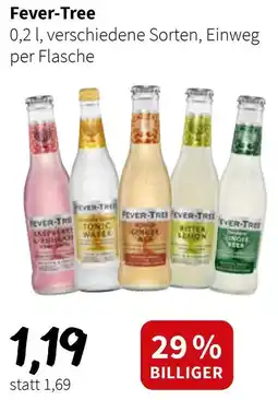 Der Grissemann Fever Tree Angebot