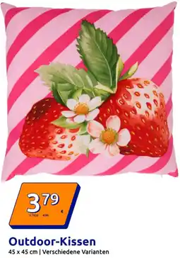 Action Outdoor-Kissen Angebot