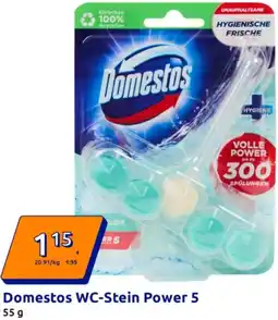 Action Domestos WC-Stein Power 5 Angebot