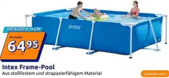 Action Intex Frame-Pool Angebot